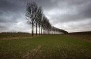 The battlefield sites of WW1 in Flanders, the Somme, Verdun and the Argonne where thousands of men paid the ultimate price. Many were never found and still lie beneath the earth. 2014 is the centenary of the start of World War One, the Great War, the War 