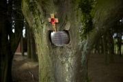 The battlefield sites of WW1 in Flanders, the Somme, Verdun and the Argonne where thousands of men paid the ultimate price. Many were never found and still lie beneath the earth. 2014 is the centenary of the start of World War One, the Great War, the War 