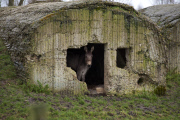 The battlefield sites of WW1 in Flanders, the Somme, Verdun and the Argonne where thousands of men paid the ultimate price. Many were never found and still lie beneath the earth. 2014 is the centenary of the start of World War One, the Great War, the War 