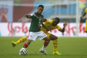 Brazil: FIFA World Cup 2014 Mexico Vs. Cameroon