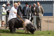 Royal Norfolk Show, Norwich, Britain - 25 Jun 2014