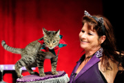 OR: The Amazing Acro-Cats Perform Final Night of Sold Out Portland Tour
