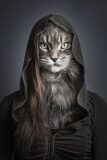 Undercats: Owners spliced with their cats - May 2014