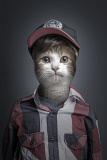 Undercats: Owners spliced with their cats - May 2014