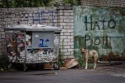Ukraine: Crisis 