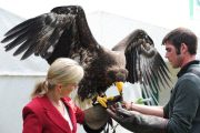 Great Yorkshire Show, Harrogate, Britain - 08 Jul 2014