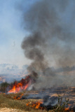 Israel-Gaza conflict, Israel - 14 Jul 2014