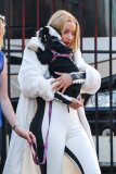 Iggy Azalea shows her puppy love in Hollywood