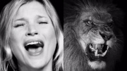 Kate Moss for Stella McCartney.