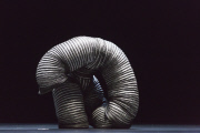Mummenschanz, Musicians of Silence, Peacock Theatre, London