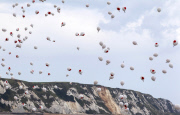 First World War centenary, Folkstone, Britain - 04 Aug 2014