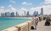 Das Leben geht weiter -Alltagseindrücke während Gaza Kriegs in Tel Aviv 