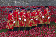 'Blood Swept Lands and Seas of Red' poppy installation