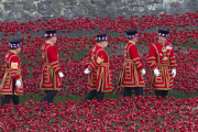 'Blood Swept Lands and Seas of Red' poppy installation