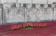 'Blood Swept Lands and Seas of Red' poppy installation