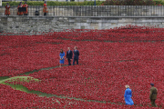 The Duke and Duchess of Cambridge and Prince Harry visit the Tower of London's Blood Swept Lands and Seas of Red poppy installation