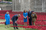 Duke and Duchess of Cambridge and Prince Harry 'plant' poppies at Tower of London WWI display