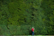 Grösste Eibenhecke in Grossbritannien