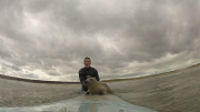 Seal surfs on surfer's surfboard, Northumberland - 03 Aug 2014