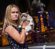 Grumpy Cat in Las Vegas, America - 05 Aug 2014