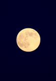 Supermoon rises over Gaza City, Palestinian Territories - 10 Aug 2014