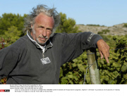 Gruissan (Aude): Pierre RIVHARD dans ses vignes