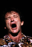 Robin Williams 1951-2014 Actor