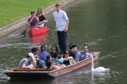 Swan nicknamed 'Asboy' attacks people using the River Cam, Cambridge, Britain - 12 Aug 2014
