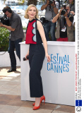 'How To Train Your Dragon 2' film photocall, 67th Cannes Film Festival - 16 May 2014
