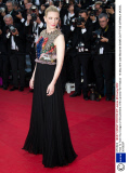 'How To Train Your Dragon 2' film premiere, 67th Cannes Film Festival - 16 May 2014