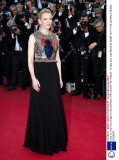 'How To Train Your Dragon 2' film premiere, 67th Cannes Film Festival - 16 May 2014