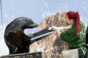 ENTS:  ZSL Whipsnade Zoo Annual weigh-in