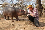'Paul O'Gradys Animal Orphans' TV Programme, London, Britain. - 28 Jan 2014