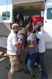 Douglas the orphaned hippo successfully released back into wild, South Luangwa, Zambia - Aug 2014