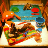 These Adoptive Parents Create A New Breakfast Scene Everyday, West Midlands, England, Britain,  July 2014