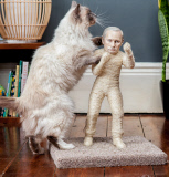 Cat scratching posts protest internet censorship - Jul 2014
