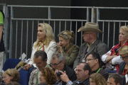 Reiten: Weltreiterspiele 2014 in Caen 