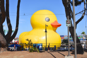 Dutch artist Florentijn Hofman Brings Worlds Largest Rubber Duck To LA