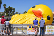 Dutch artist Florentijn Hofman Brings Worlds Largest Rubber Duck To LA