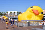 Dutch artist Florentijn Hofman Brings Worlds Largest Rubber Duck To LA