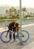 Yerke Project Students Create a Bike Lock That Means No One Will Steal Your Bike, Chile, Sep 2014