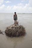 Climate change and river bank erosion in Bangladesh