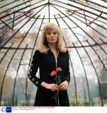 VARIOUS - 1970S