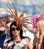 Racing from Doncaster, Britain - 11 Sep 2014