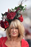 Racing from Doncaster, Britain - 11 Sep 2014
