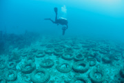 Osborne Reef: A Failed Artificial Reef Of Discarded Tires