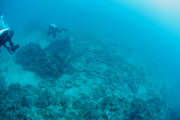 Osborne Reef: A Failed Artificial Reef Of Discarded Tires