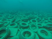 Osborne Reef: A Failed Artificial Reef Of Discarded Tires