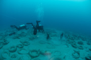 Osborne Reef: A Failed Artificial Reef Of Discarded Tires