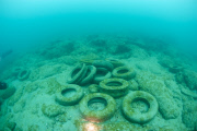 Osborne Reef: A Failed Artificial Reef Of Discarded Tires